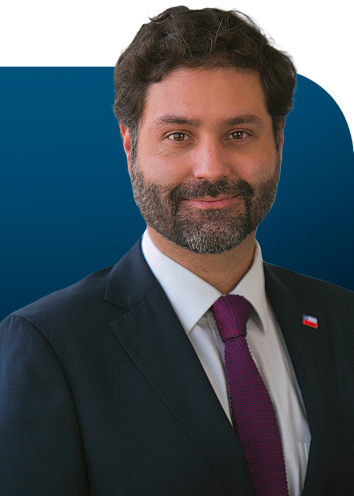 Prof Julio Pertuze
