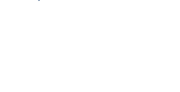 Tech Diplomacy Institute
